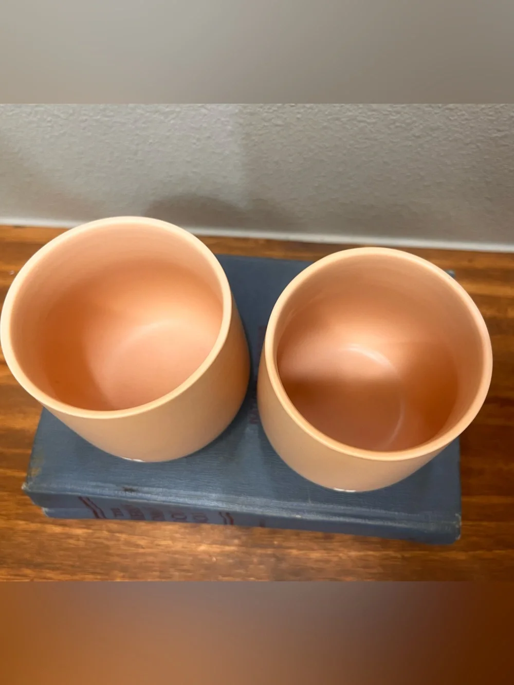 Waterdrop Porcelain Cups Set of 2-13 oz Pastel Orange Sleek Double Walled